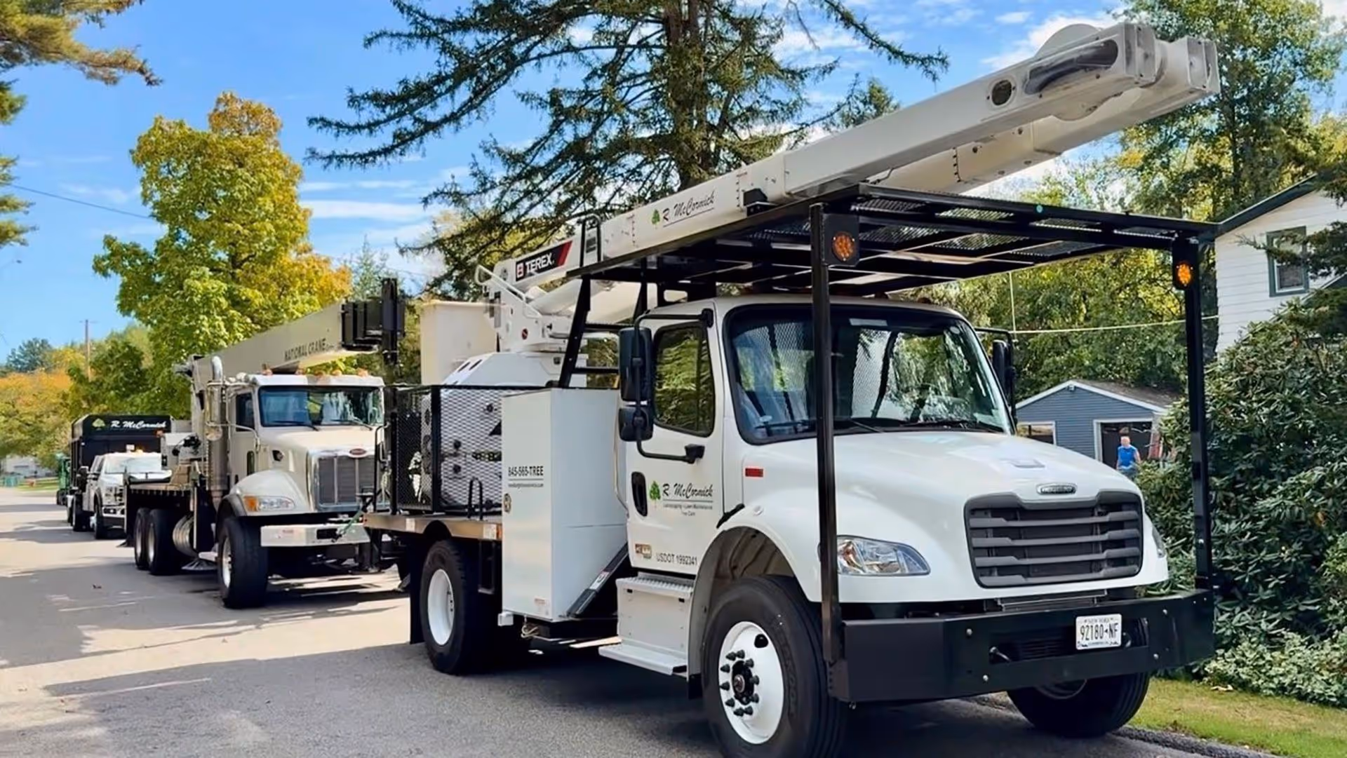 Emergency tree removal services Hudson Valley NY for storm-damaged trees