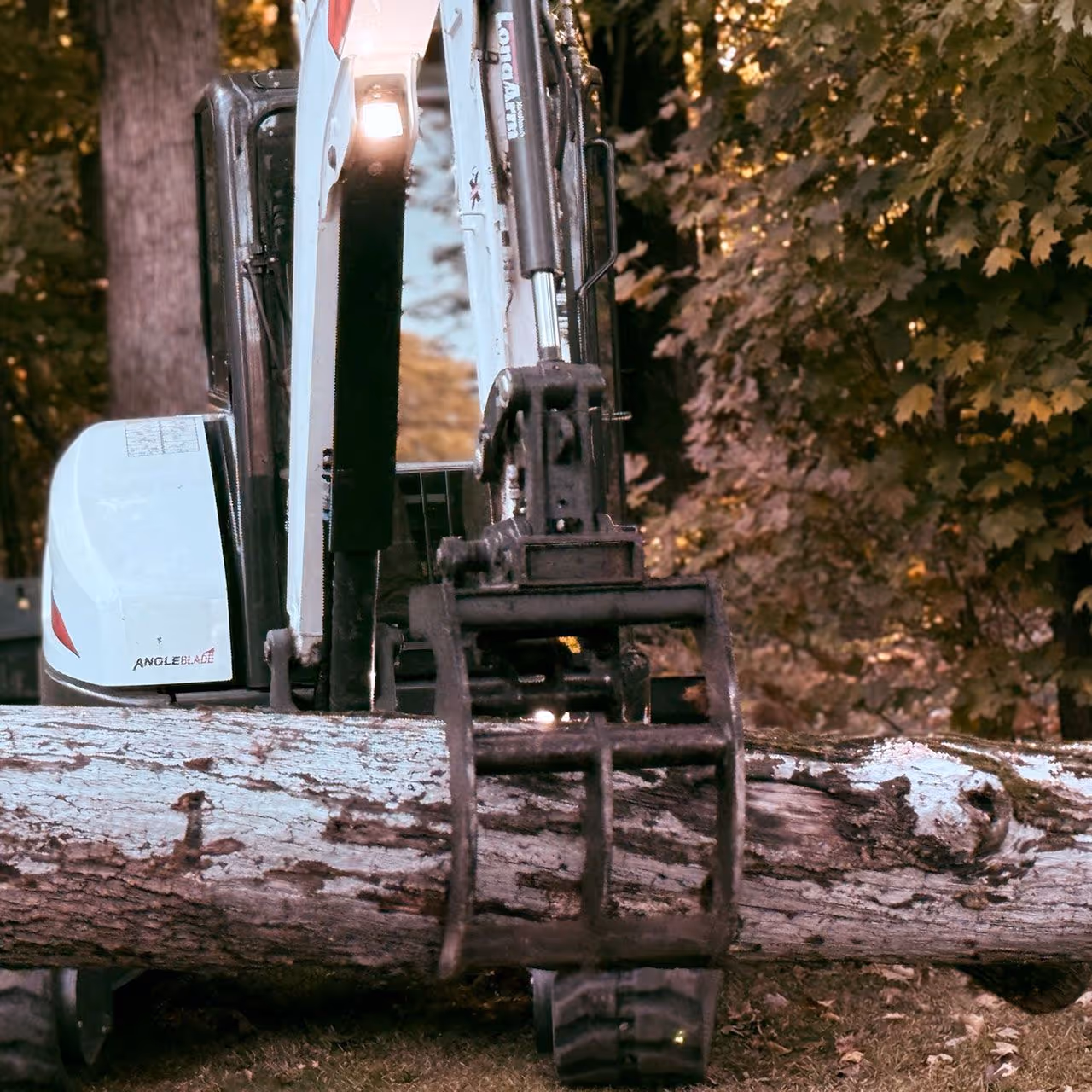 Stump grinding service near me Hudson Valley NY