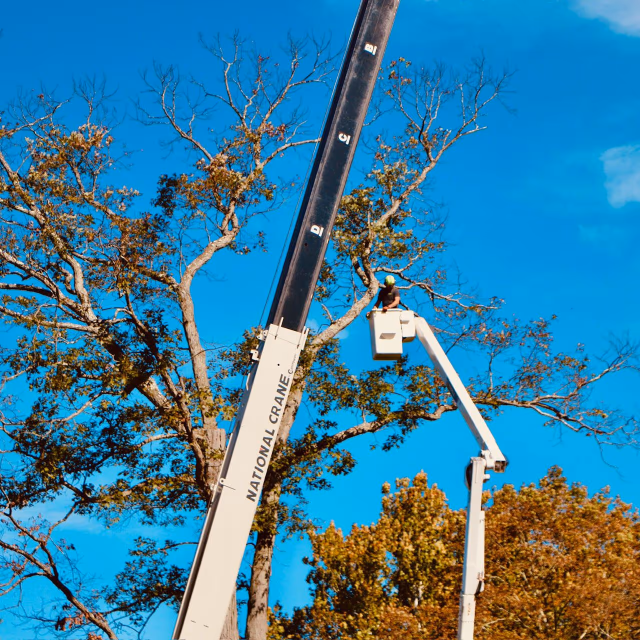Forestry mulching near me Hudson Valley NY