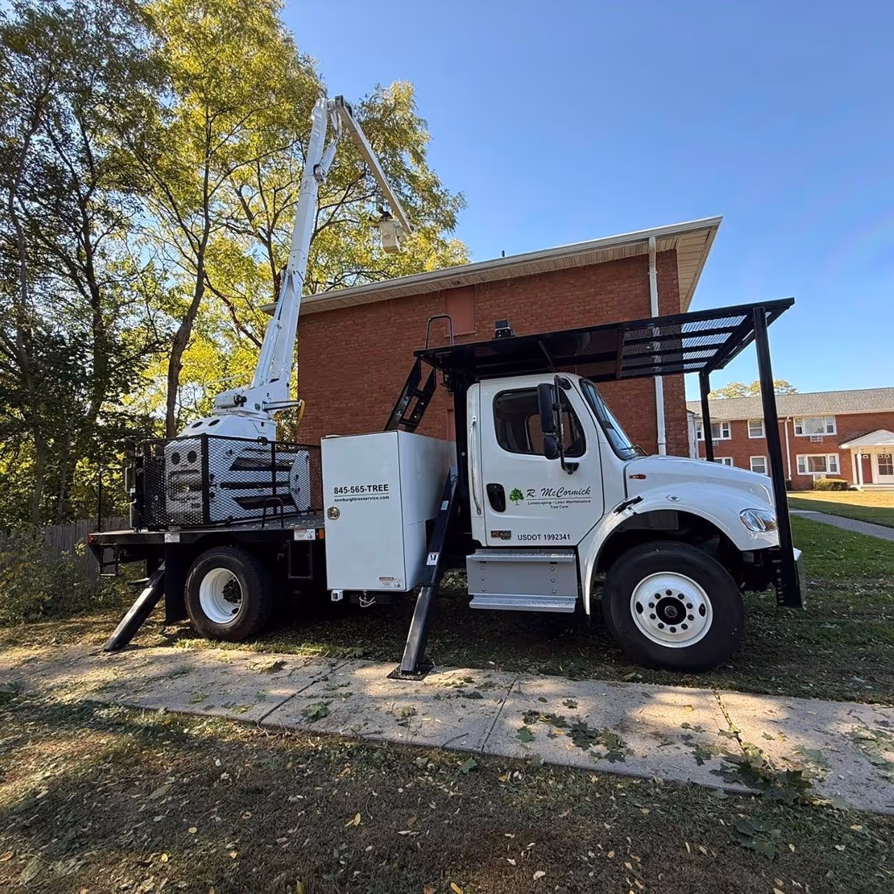 Safe tree removal service Orange County NY