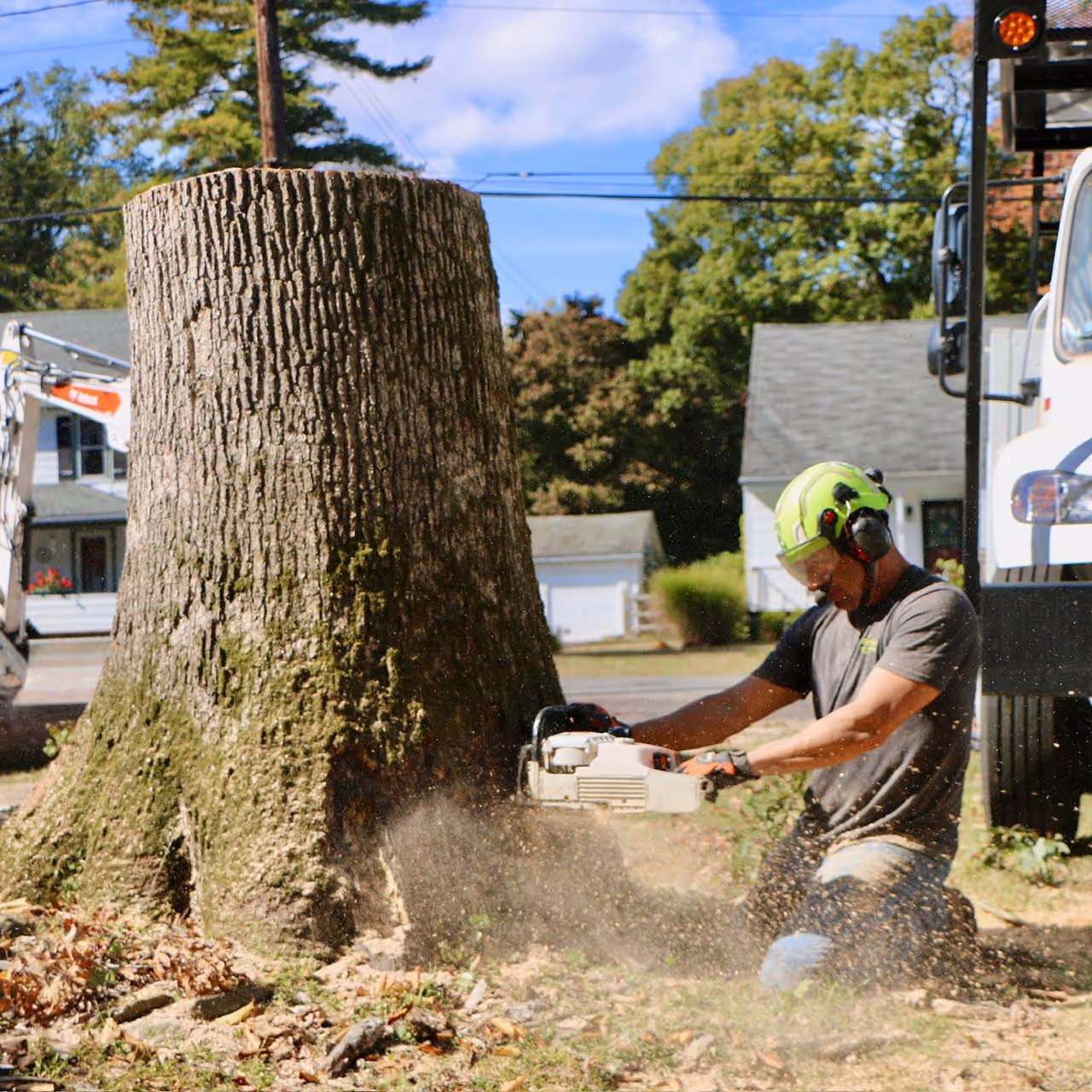 Large tree removal with crane Hudson Valley NY