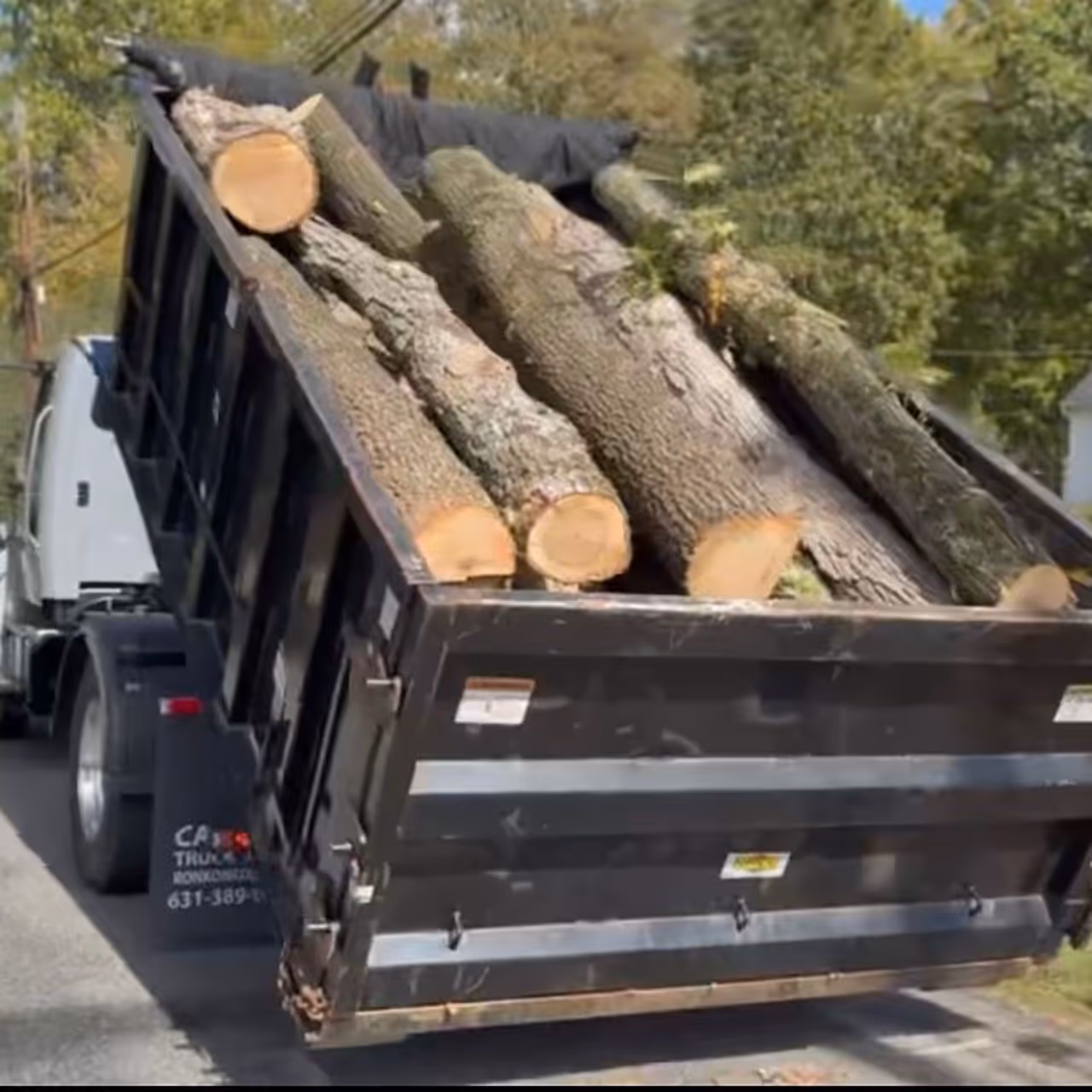 Commercial tree service crew working on large project
