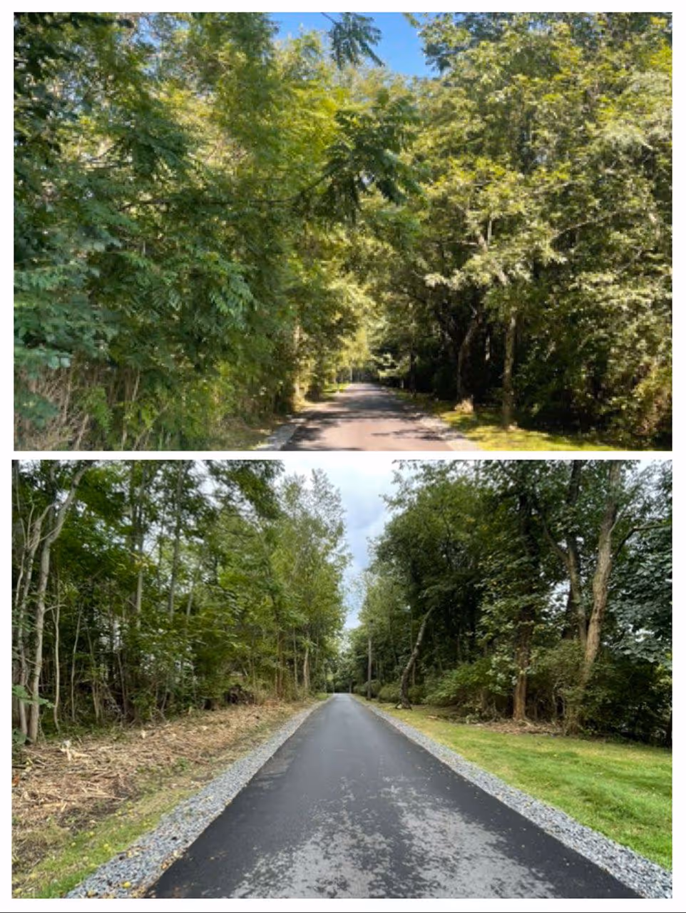 Forestry mulching results Hudson Valley NY