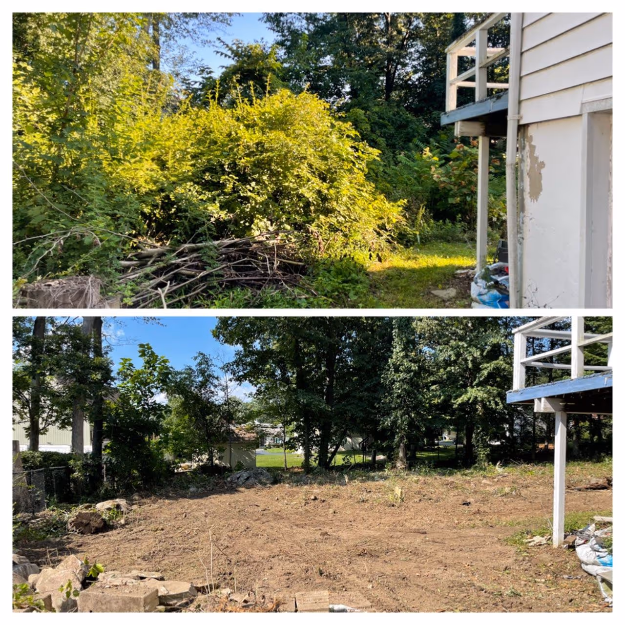 Property clearing results commercial site