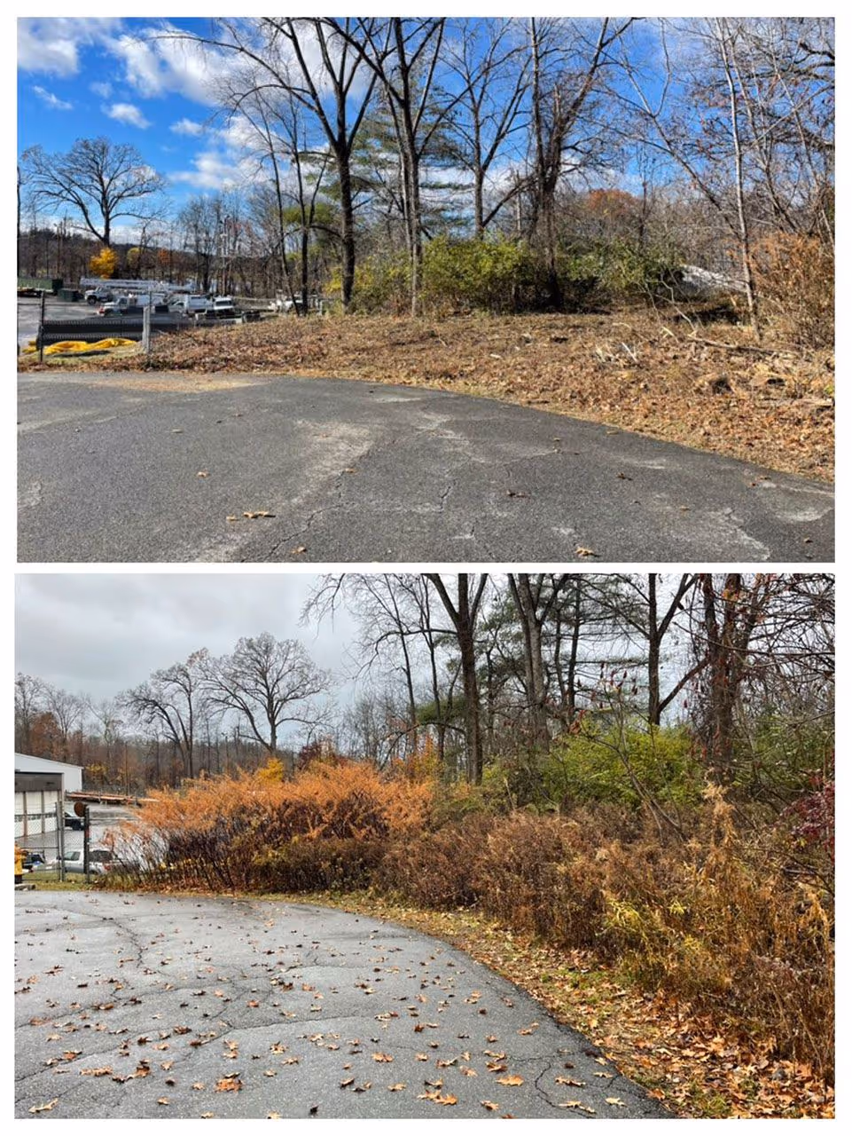 Lawn cleanup before and after near me