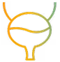 Bladder-icon