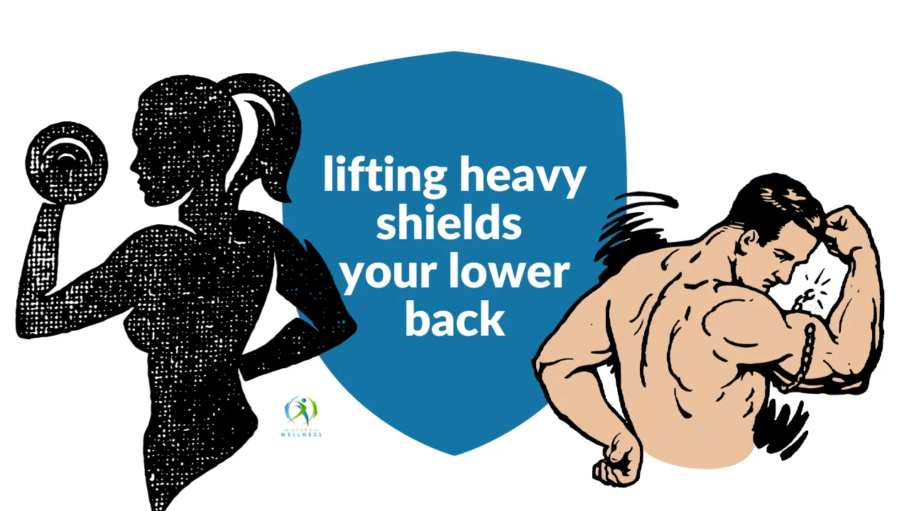 BLOG_power-of-deadlifts-2-lifting-shields