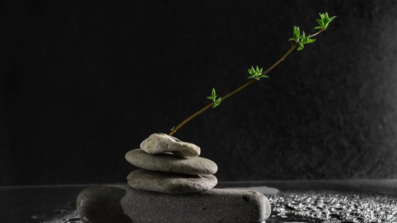 zen