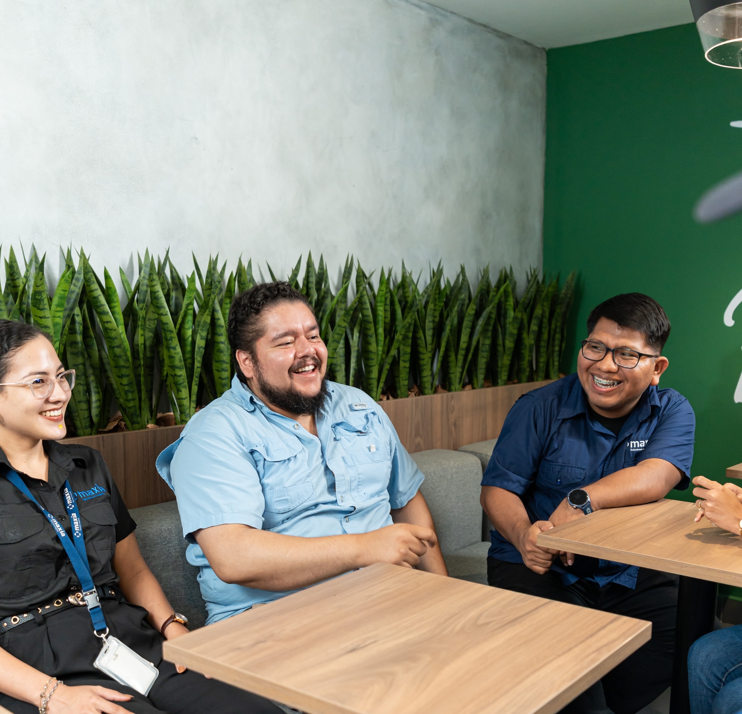 Un grupo de compañeros de trabajo, sentados alrededor de unas mesas y riendo durante una reunión en la zona de descanso de una oficina moderna decorada con plantas.