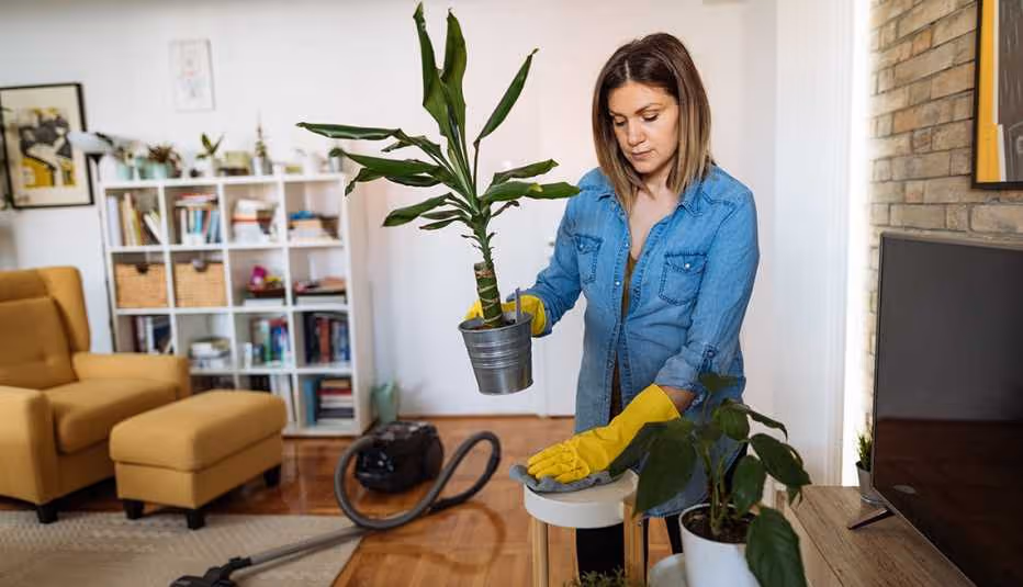 Woman wearing yellow gloves cleaning a surface and holding a potted plant in a living room.