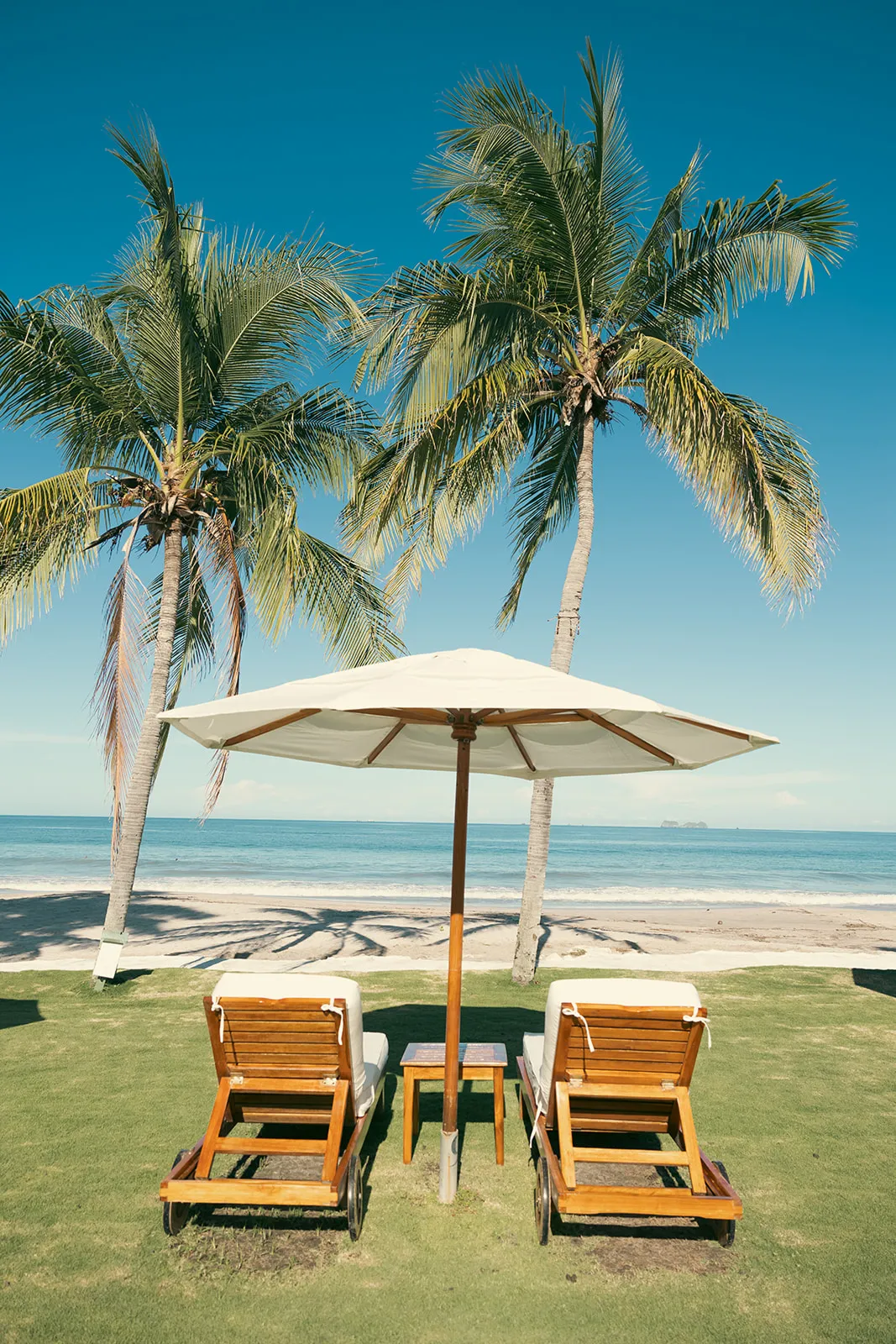 Two wooden loungers and a white umbrella facing the ocean under palm trees on the beachfront lawn