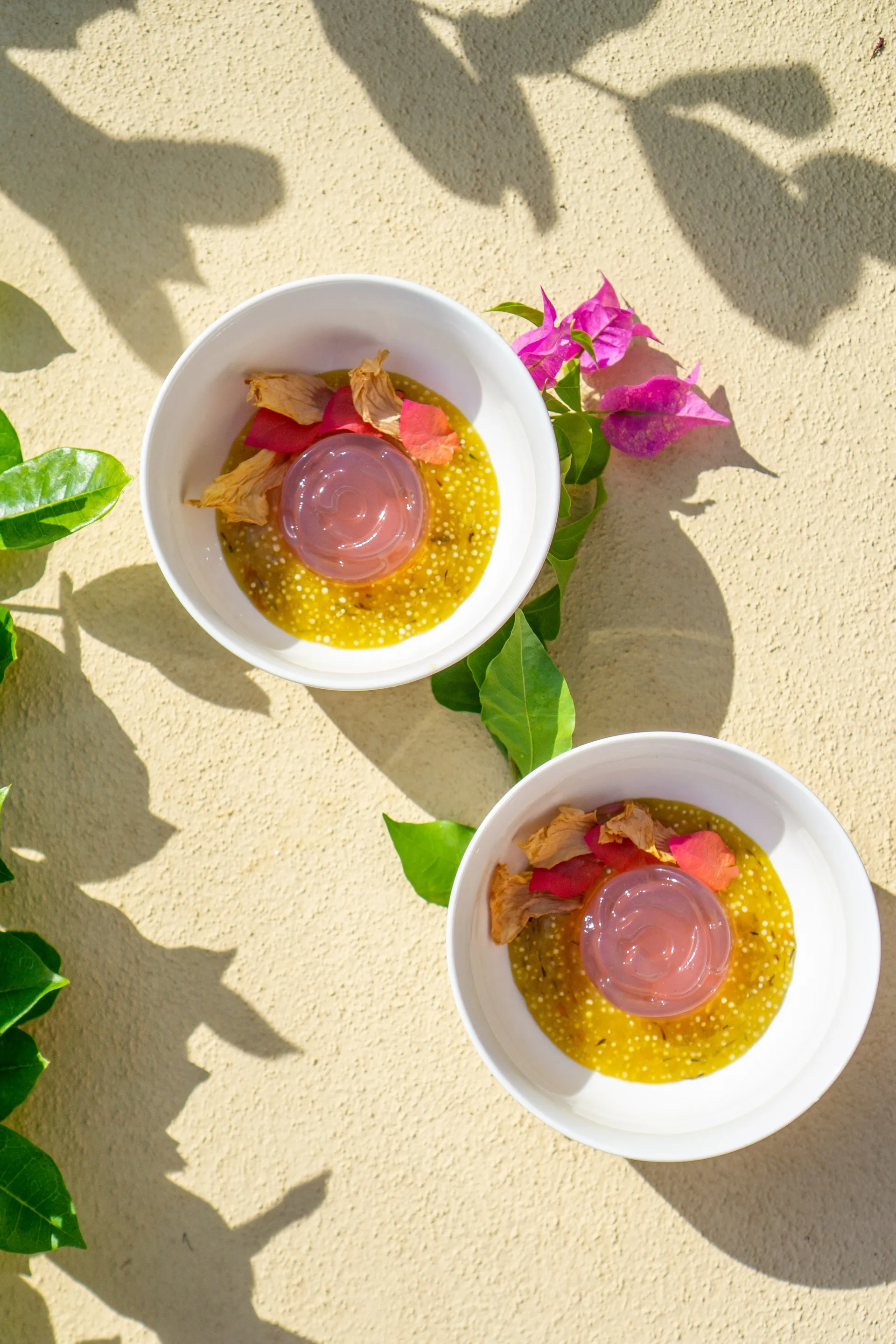 Two passion fruit chia desserts topped with edible flowers, styled in the sun beside bougainvillea