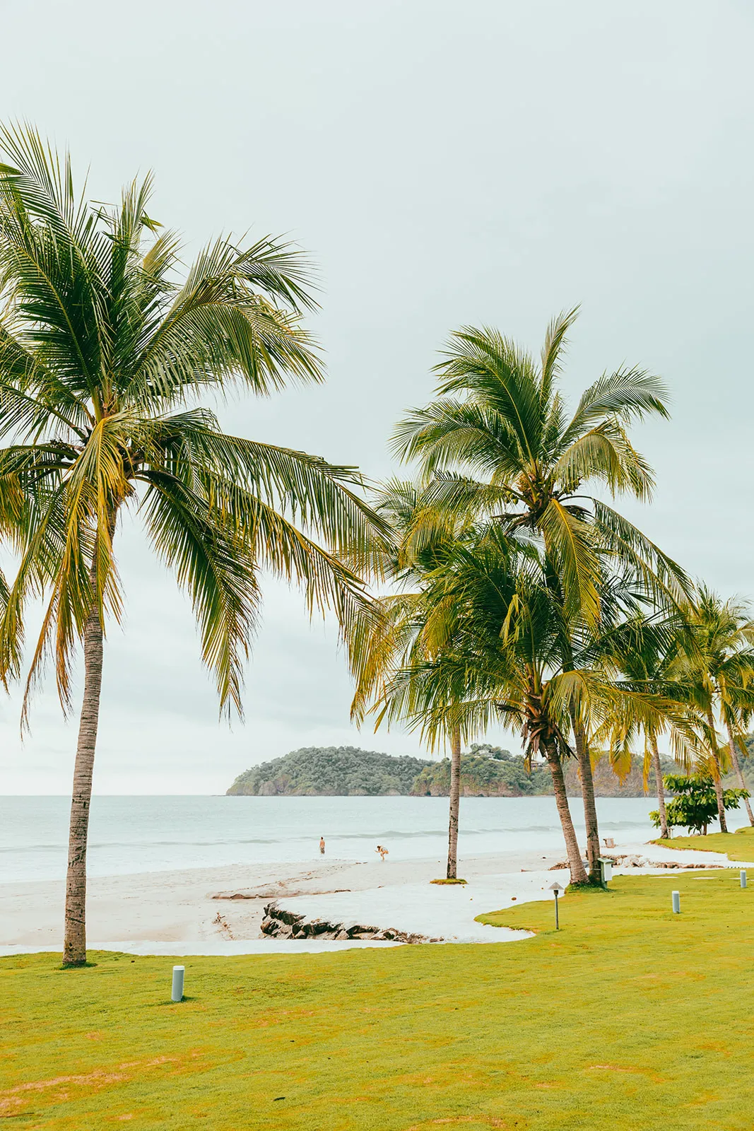 Coconut palms and manicured lawn opening onto the white-sand beach at the Guanacaste retreat