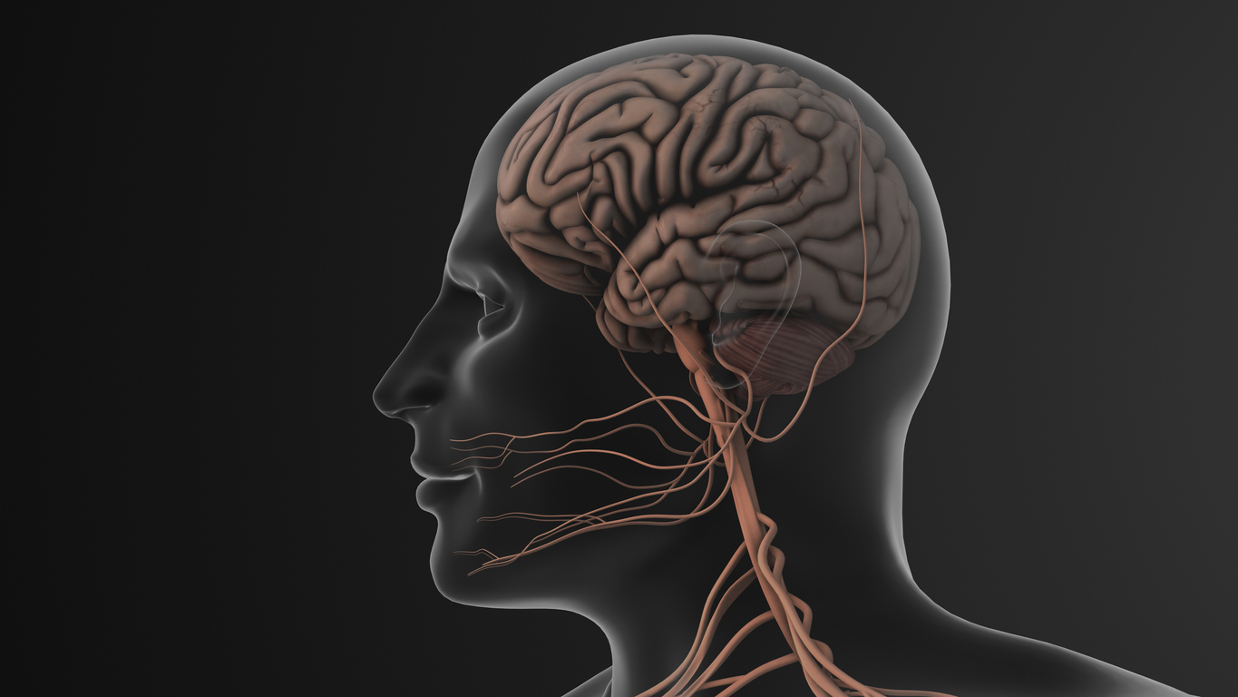 TMJ and Neurological Symptoms: What You Need to Know