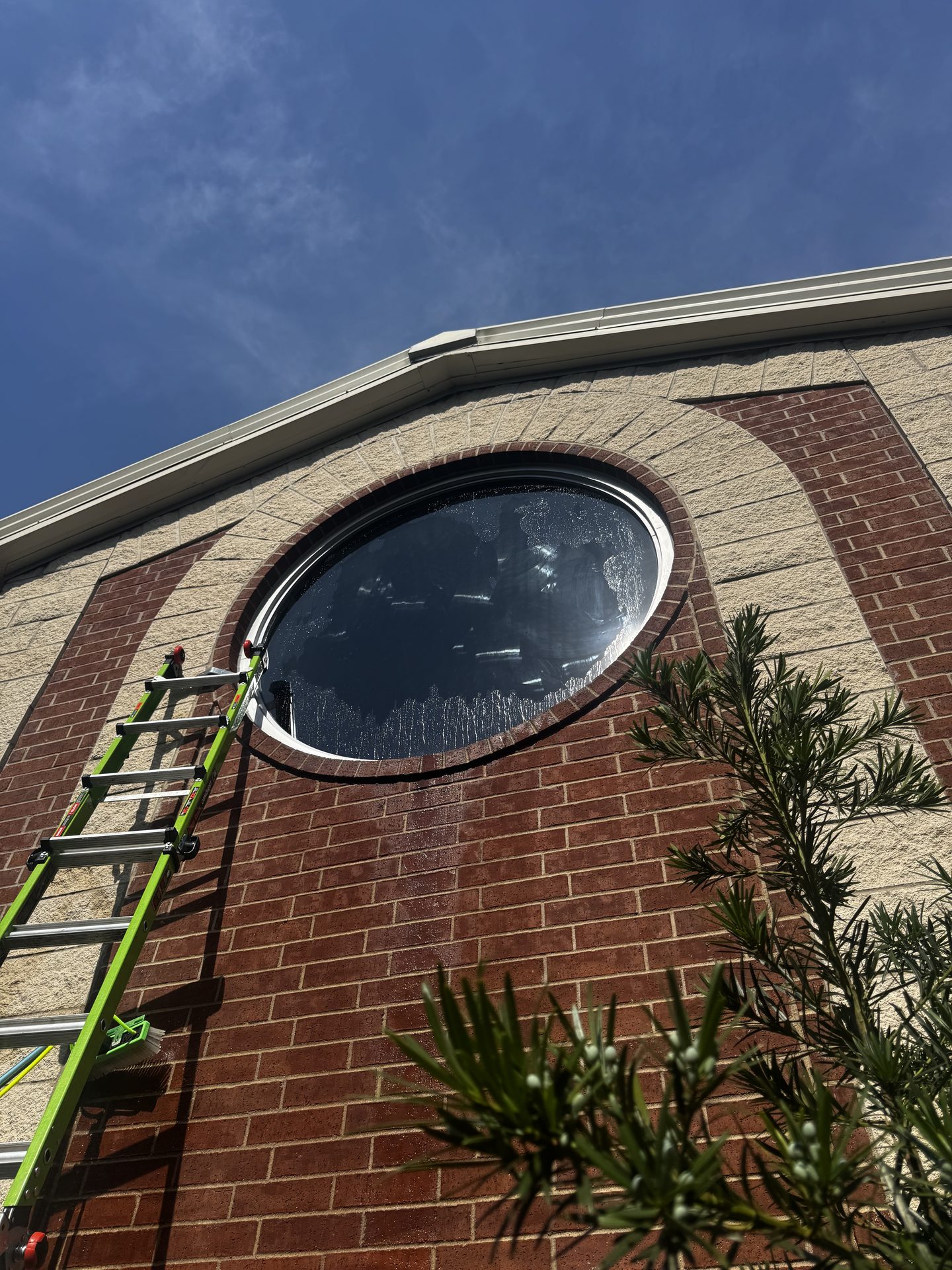 Commercial window cleaning