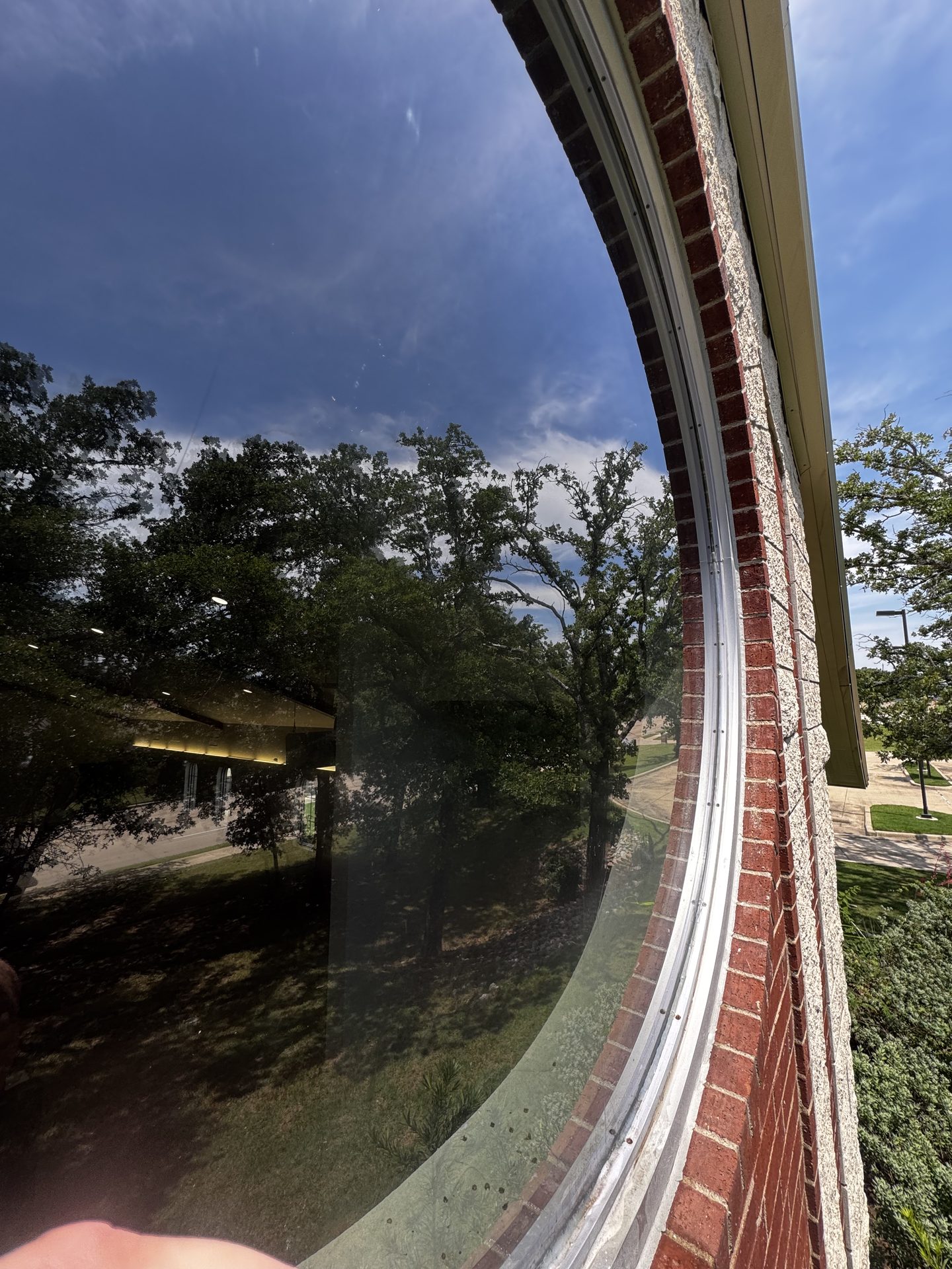 Commercial window cleaning