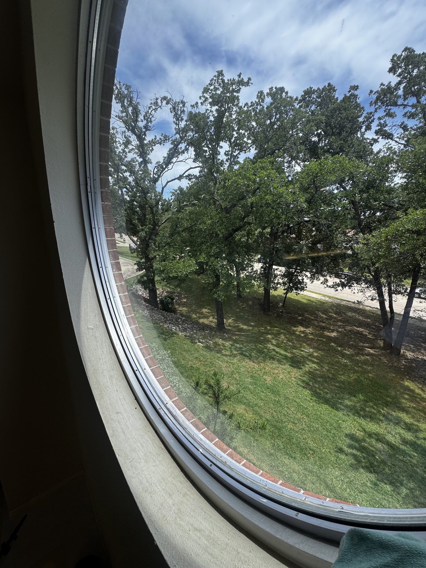 Commercial window cleaning