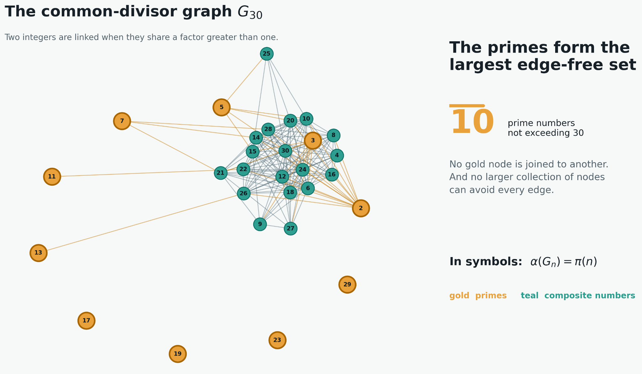 A network diagram containing vertices labeled 2 through 30. Composite numbers form a dense teal cluster with visible blue-grey edges. Prime numbers are gold and spread around the outside, with gold edges connecting them to composite multiples. A callout states that the primes form the largest edge-free set and gives the identity alpha of G sub 30 equals pi of 30.