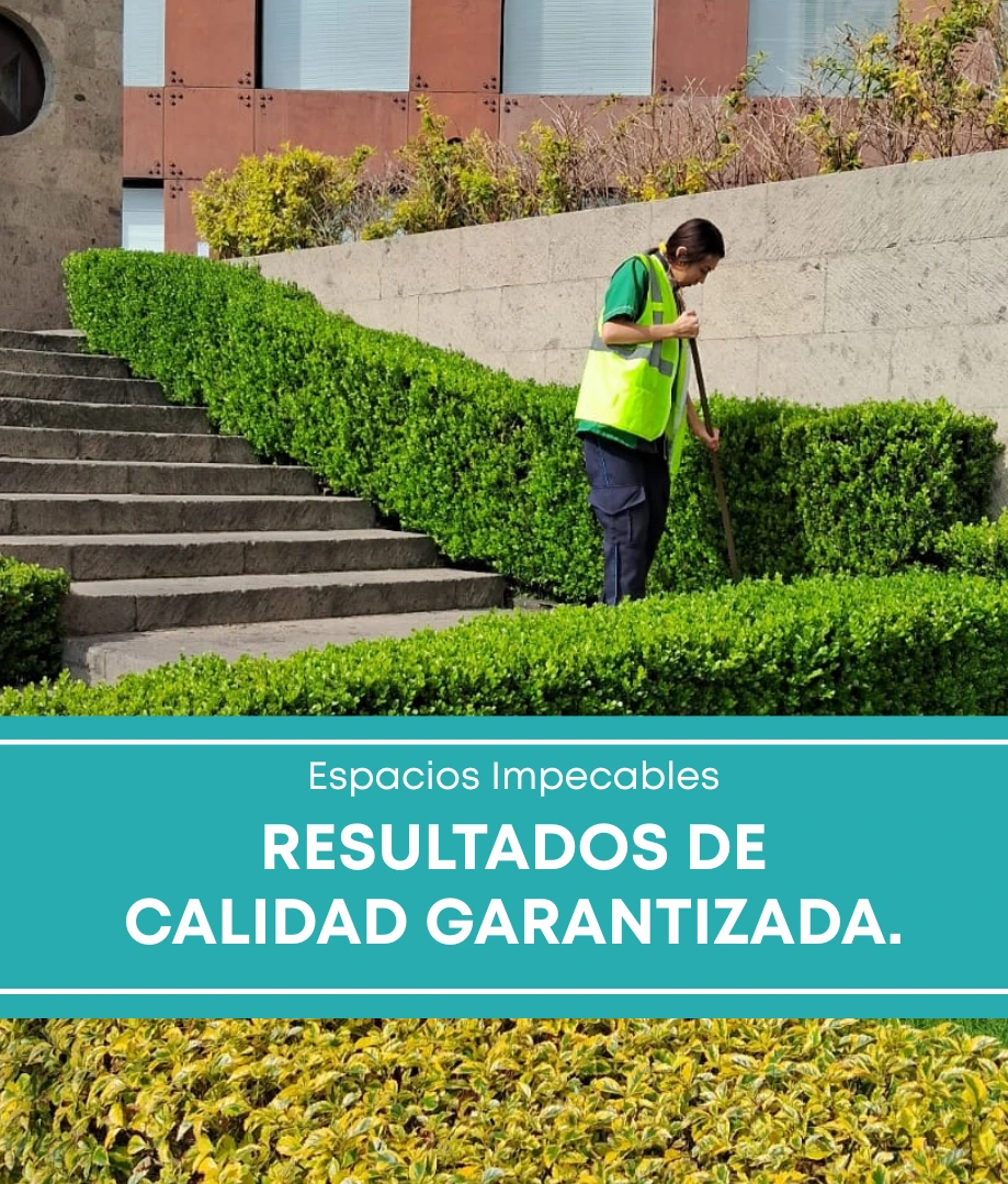 Auxiliar de limpieza limpiando una cocina