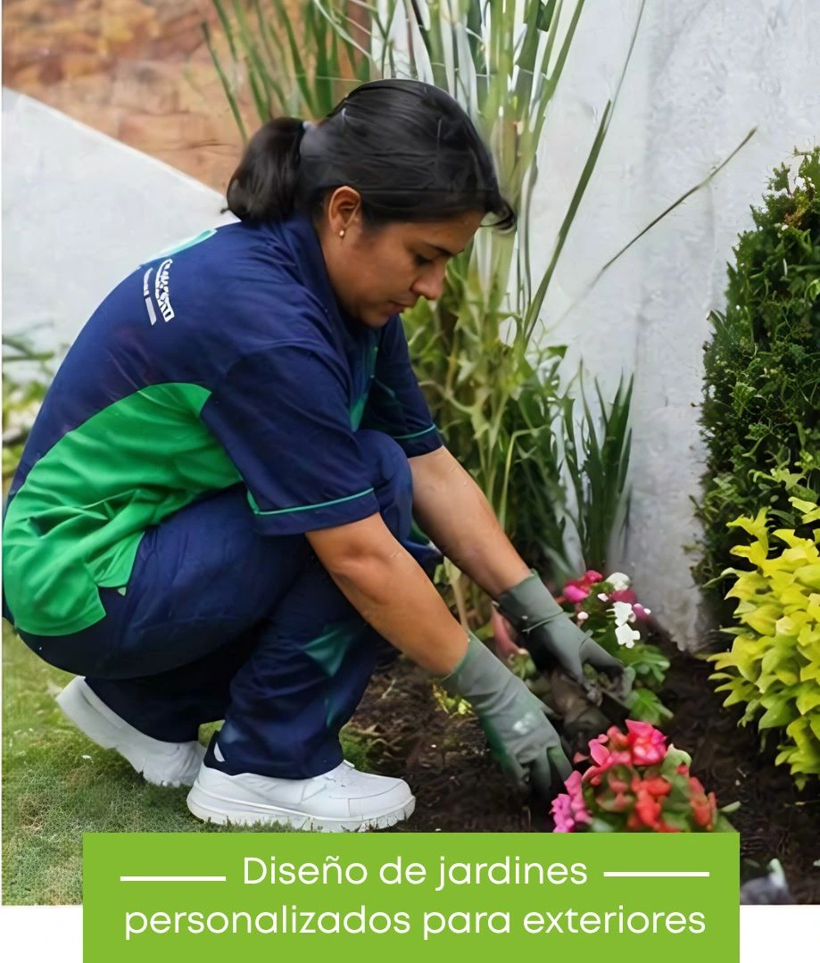 Equipo de Limpieza en Oficinas