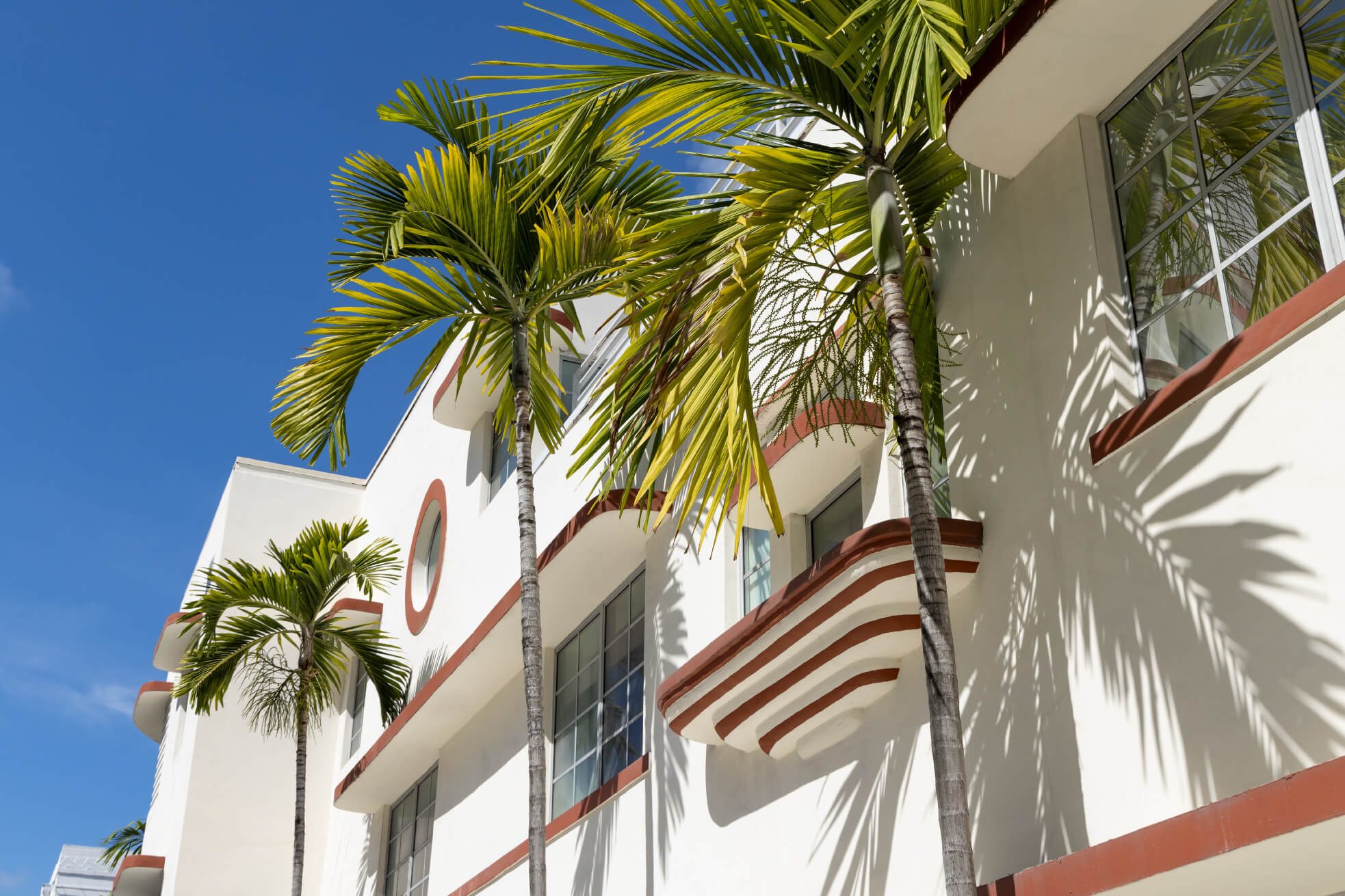 Collins-Court-Building-palm-trees