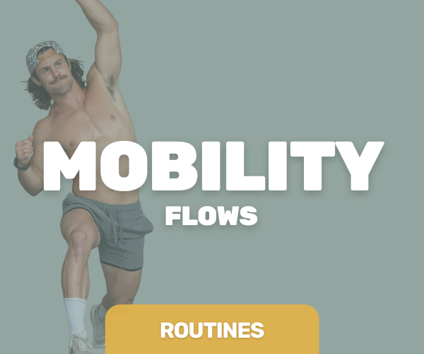 Person fitness trainer