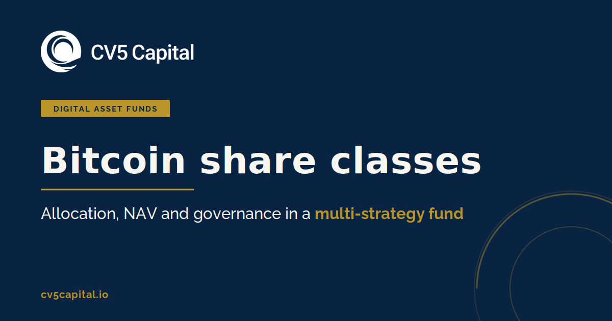 Bitcoin share class within a multi-strategy Cayman hedge fund, CV5 Capital navy and gold institutional hero
