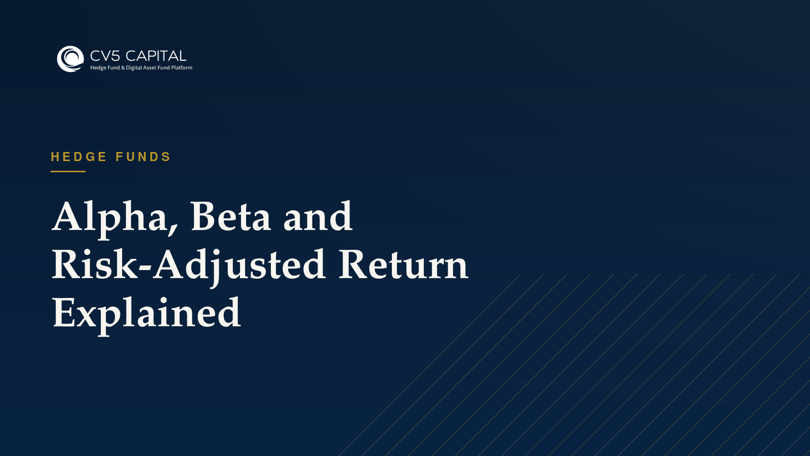 Alpha, beta and risk-adjusted return, CV5 Capital insights hero