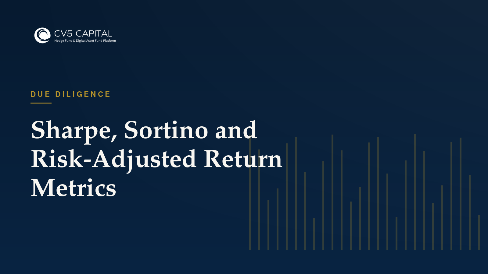 Sharpe, Sortino and risk-adjusted return metrics, CV5 Capital insights hero