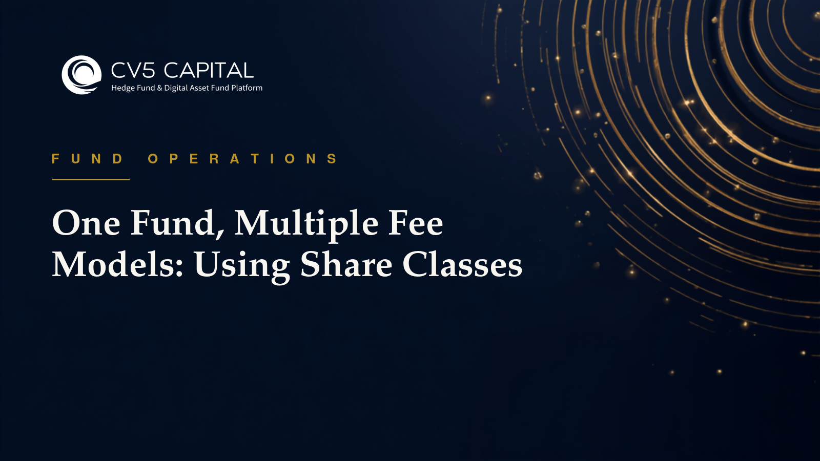 One fund, multiple fee models, using share classes to meet different investor needs, CV5 Capital navy and gold hero