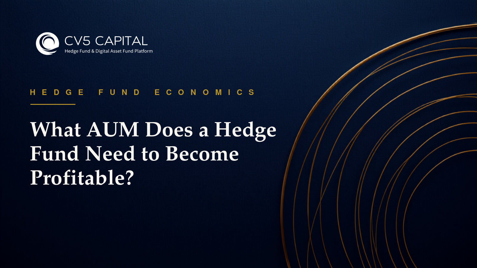 What AUM does a hedge fund need to become profitable, CV5 Capital navy and gold hero