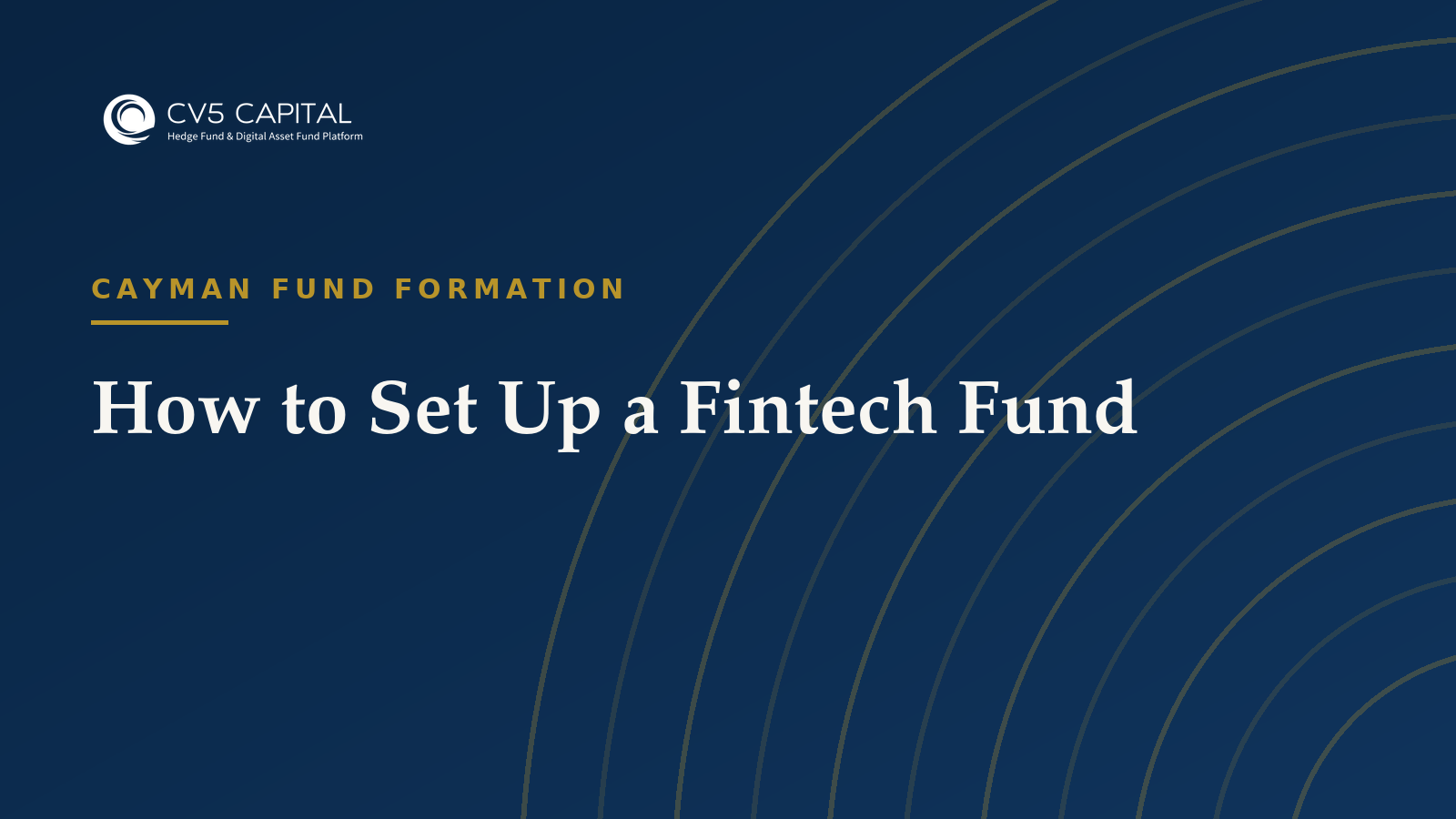 How to Set Up a Fintech Fund, CV5 Capital navy and gold hero