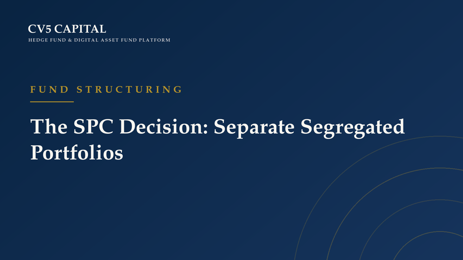 Leverage, margin and prime-brokerage governance framework for hedge fund boards — CV5 Capital Insights