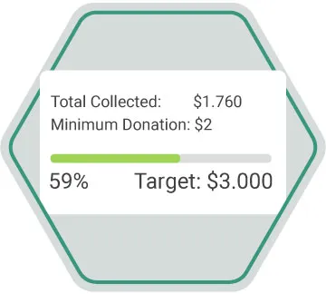 progress to target crowdfunding goal