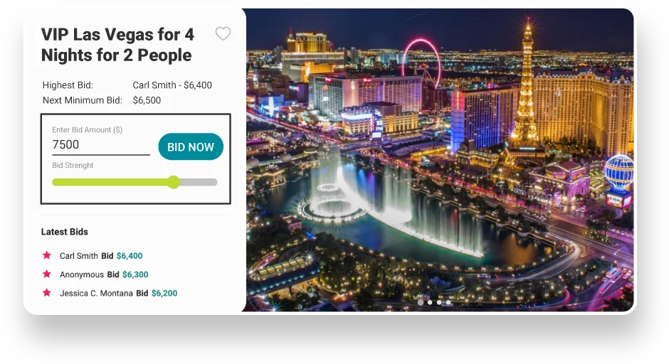 auction software bidding