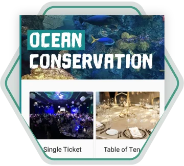 flexible design options