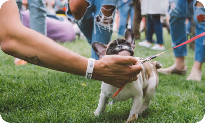 pet rescue fundraising event