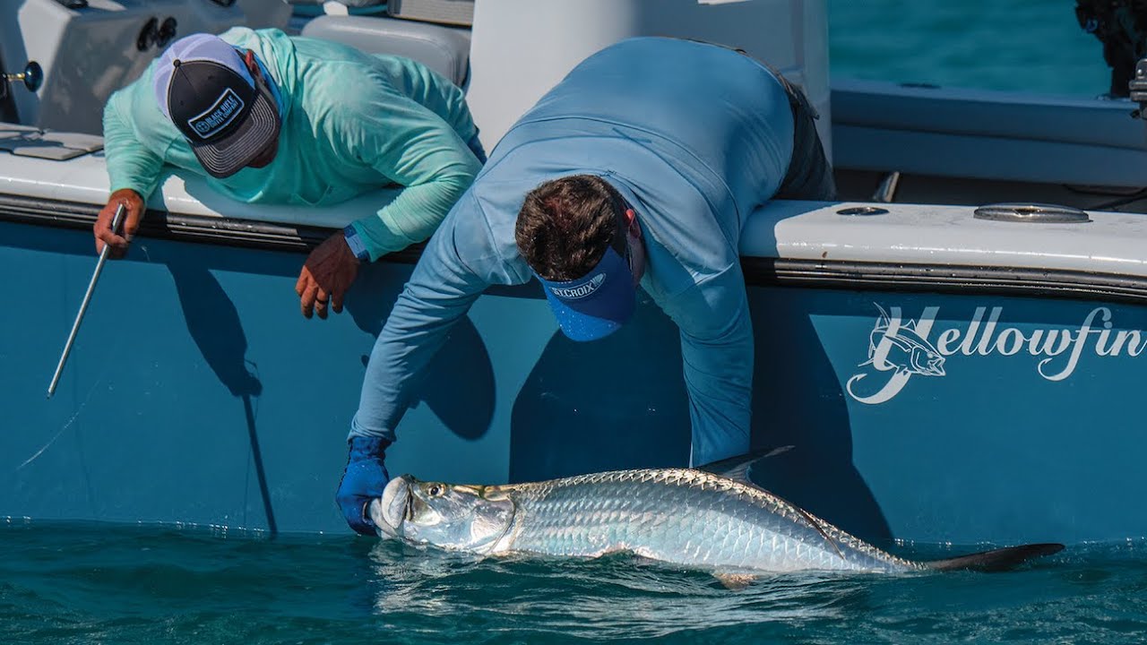 How to estimate tarpon weight using fork length and girth — Tom Rowland Podcast How 2 Tuesday