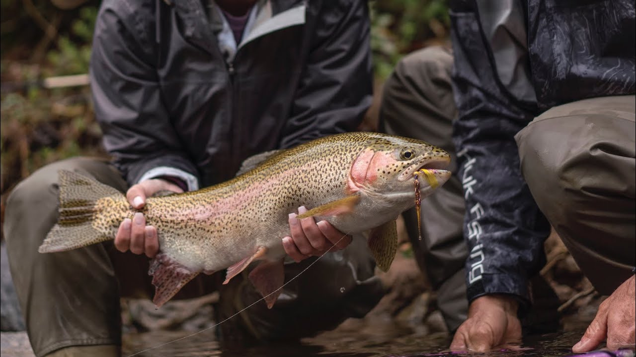 Triple Surgeon vs. Blood Knot: Which Wins for Fly Fishing Leaders - Tom Rowland Podcast How 2 Tuesday