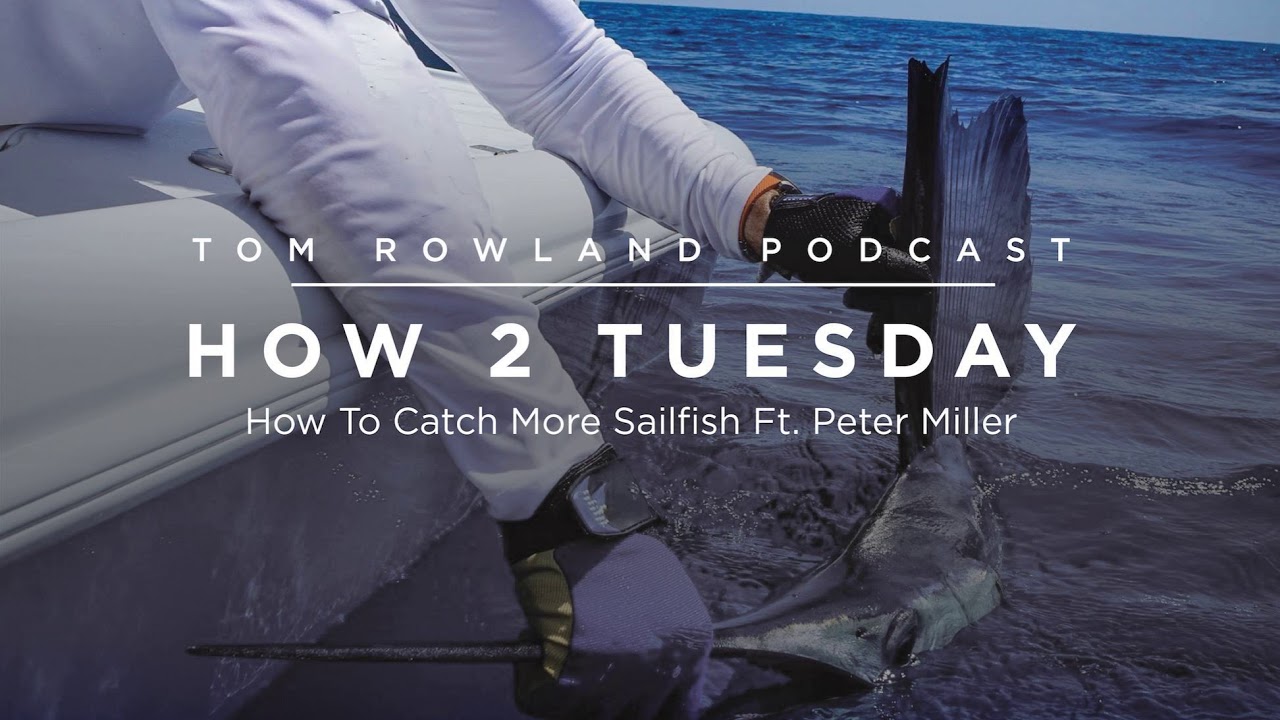 How to Catch More Sailfish With Peter Miller — Tom Rowland Podcast How 2 Tuesday