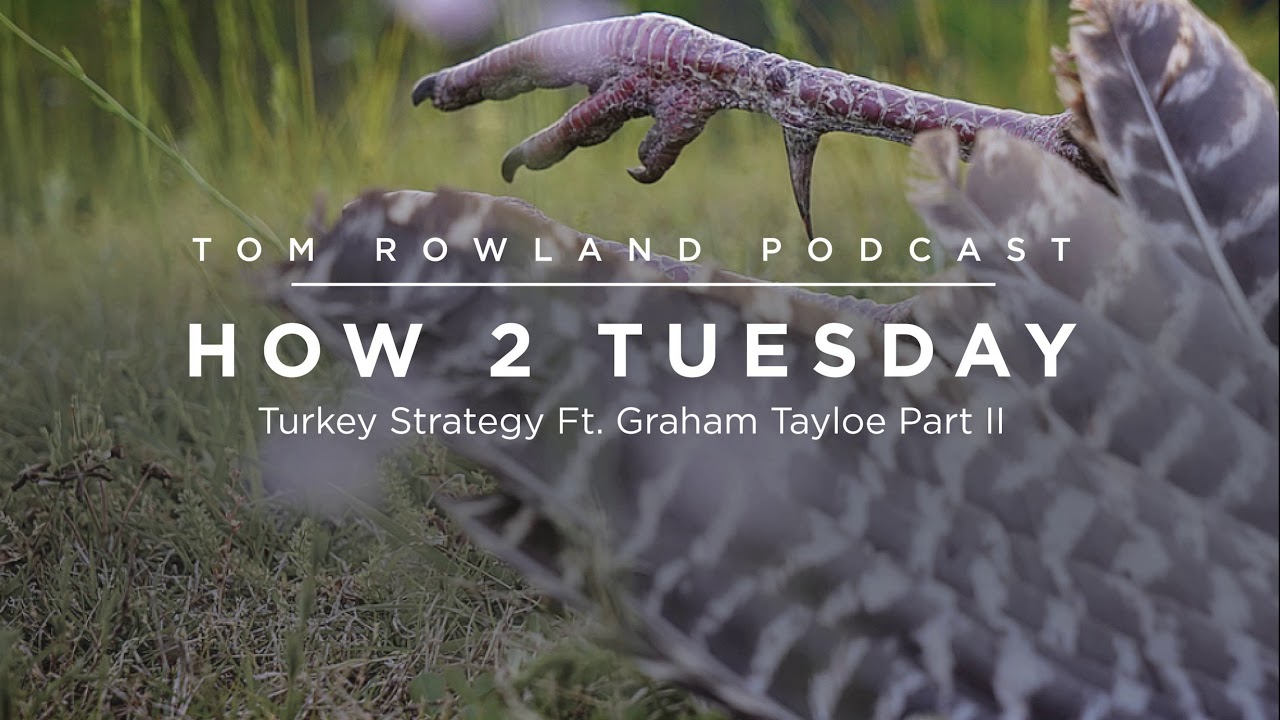 Graham Tayloe turkey hunting strategy part 2 — Tom Rowland Podcast Ep. 51