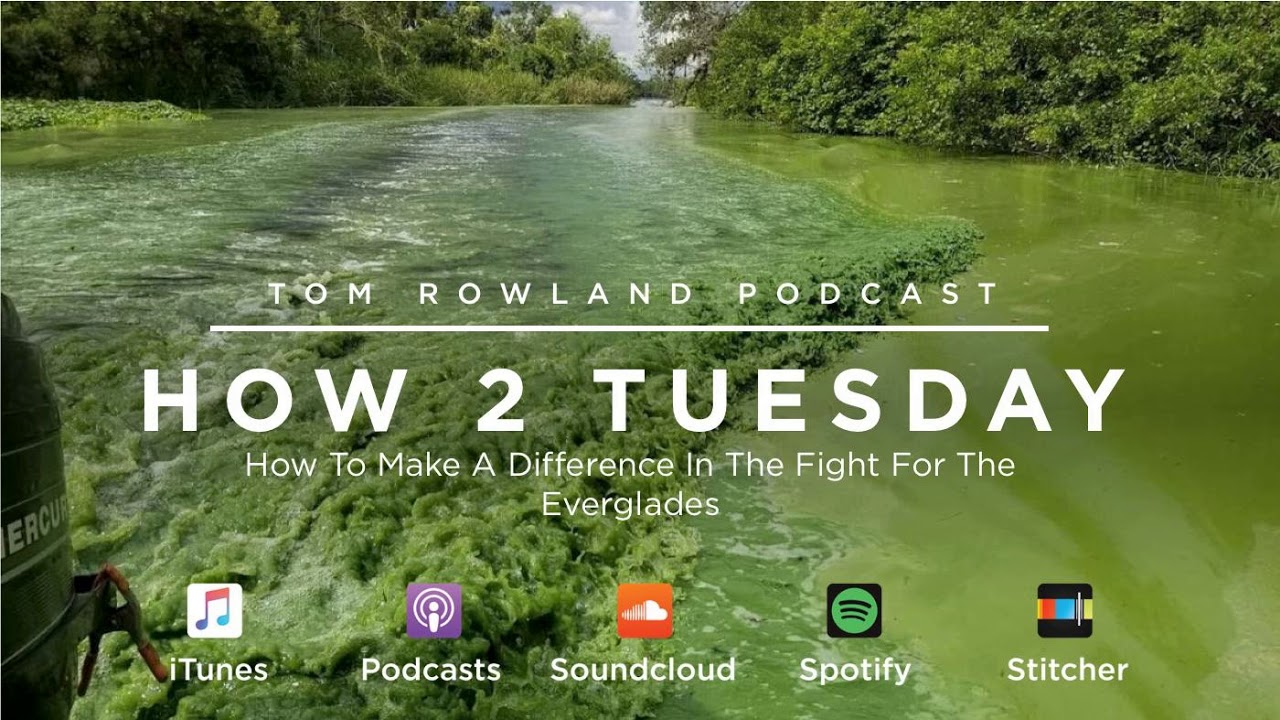 How to make a difference in the fight for the Everglades — Tom Rowland Podcast How 2 Tuesday with Daniel Andrews