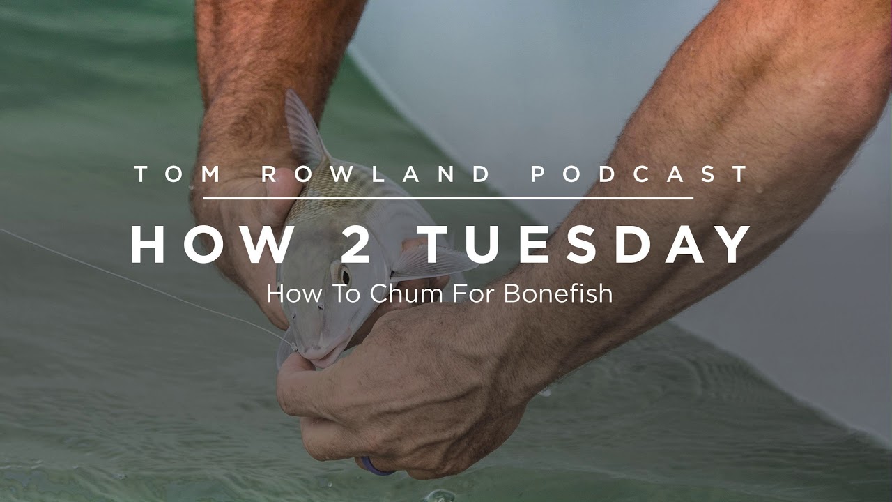 How to chum for bonefish — Tom Rowland Podcast How 2 Tuesday