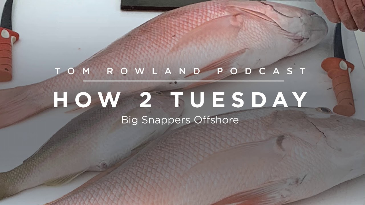 How to catch big snappers offshore — Tom Rowland Podcast How 2 Tuesday