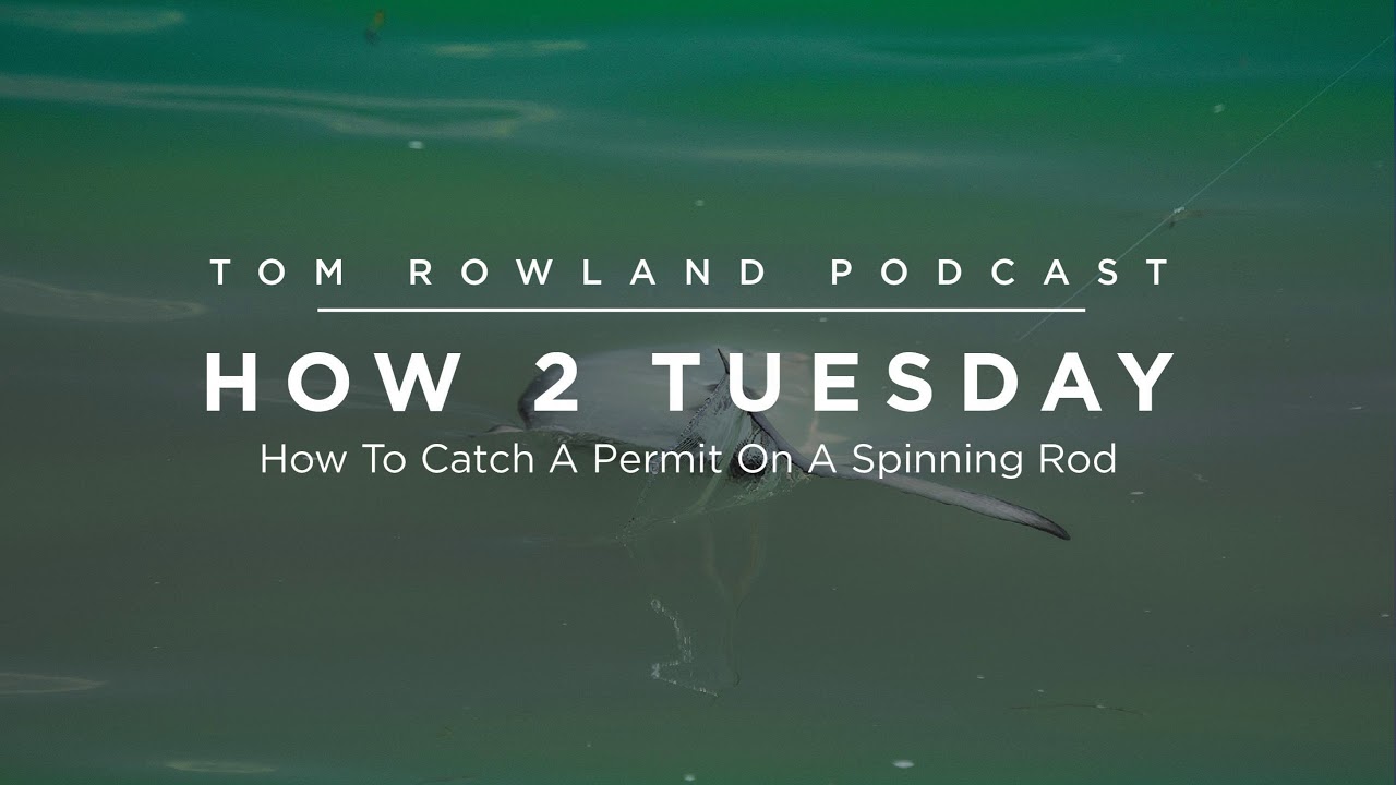 How to catch a permit on a spinning rod — Tom Rowland Podcast How 2 Tuesday