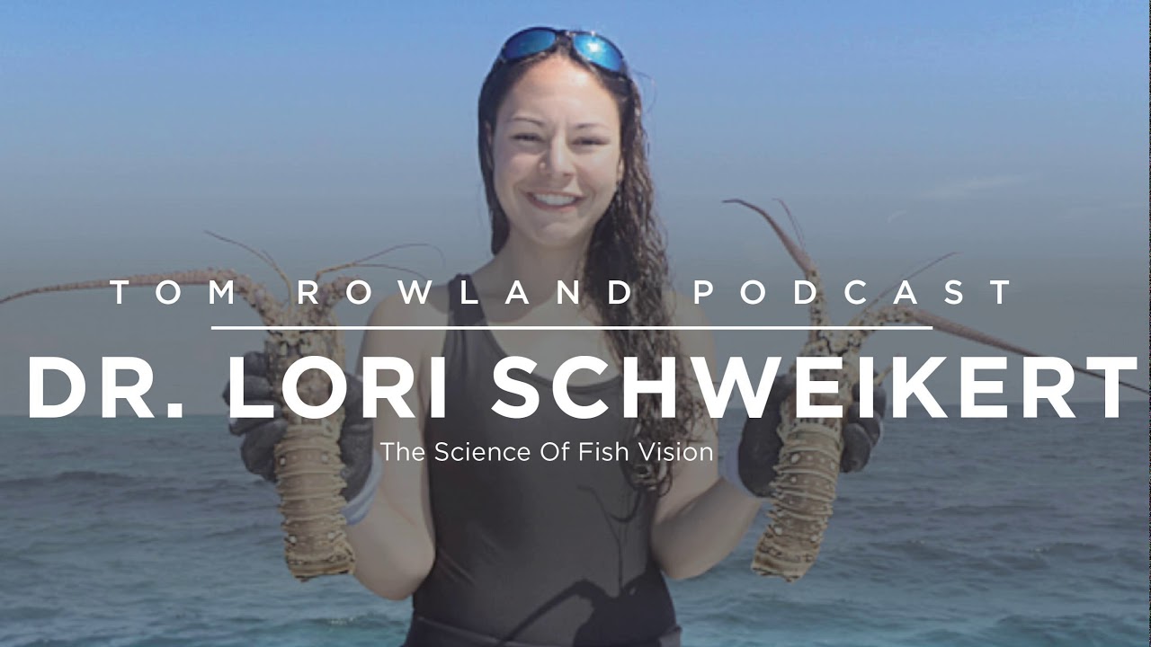 Dr. Lori Schweikert: The Science of Fish Vision