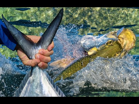 How to Become a Great Fishing Guide - Tom Rowland Podcast Ep. 458