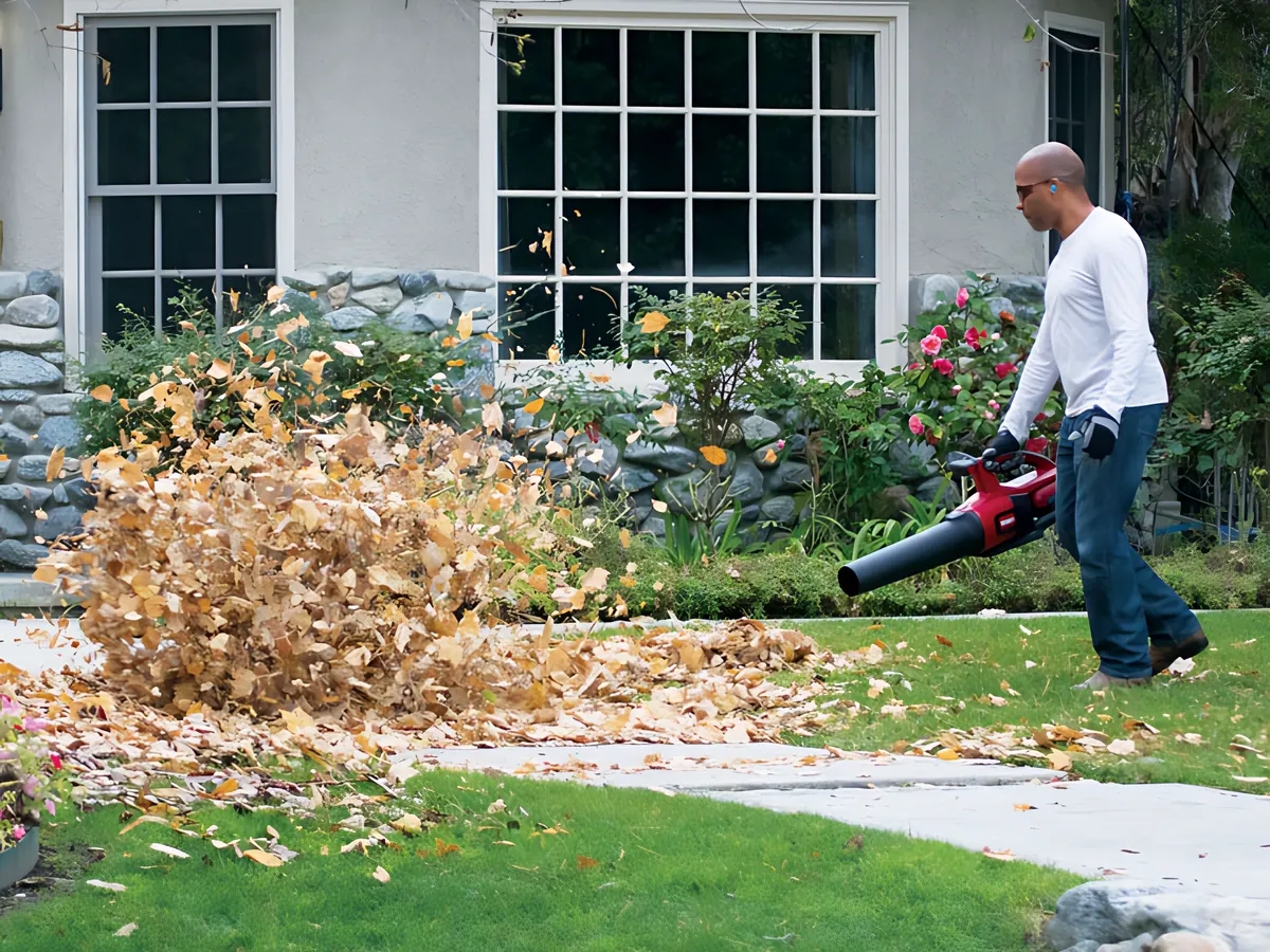 Homeowner clearing fall leaves with a Toro cordless leaf blower