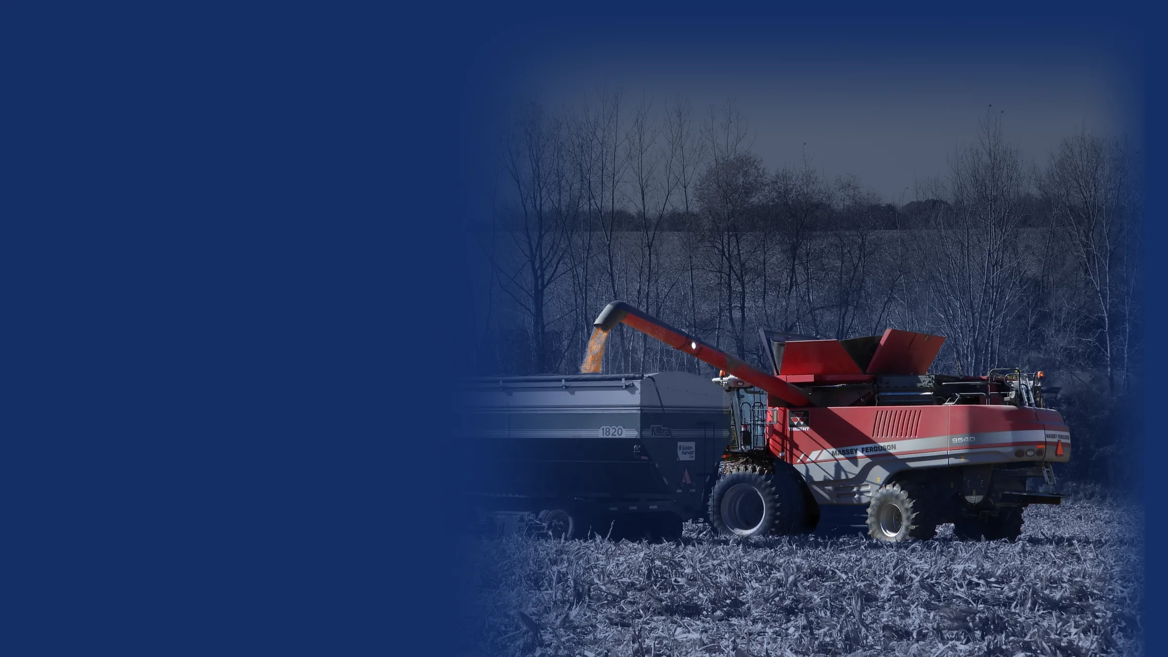 Massey Ferguson combine unloading corn into a grain cart during harvest