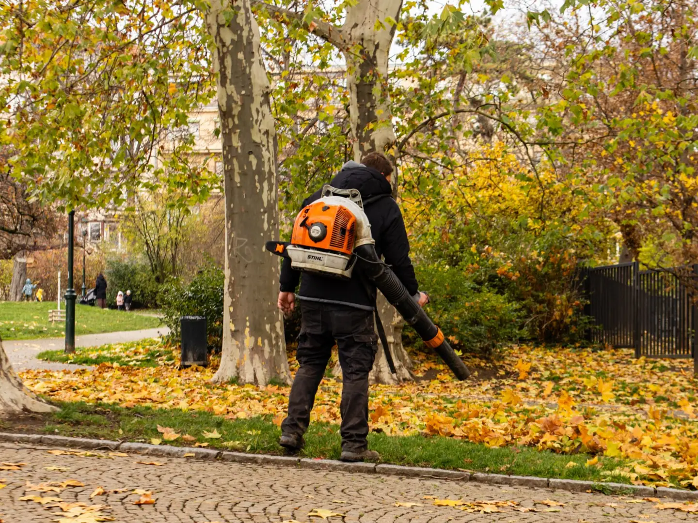 Grounds worker clearing autumn leaves in a park with a STIHL backpack blower